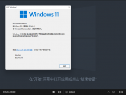 Windows 10 Team-10.0.22000.1-Version.png