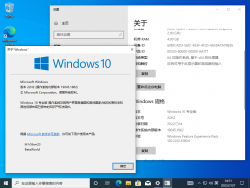 Windows 10-10.0.19045.1862-Version.png