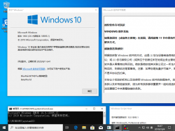 Windows10-10.0.18995.1-Version.png