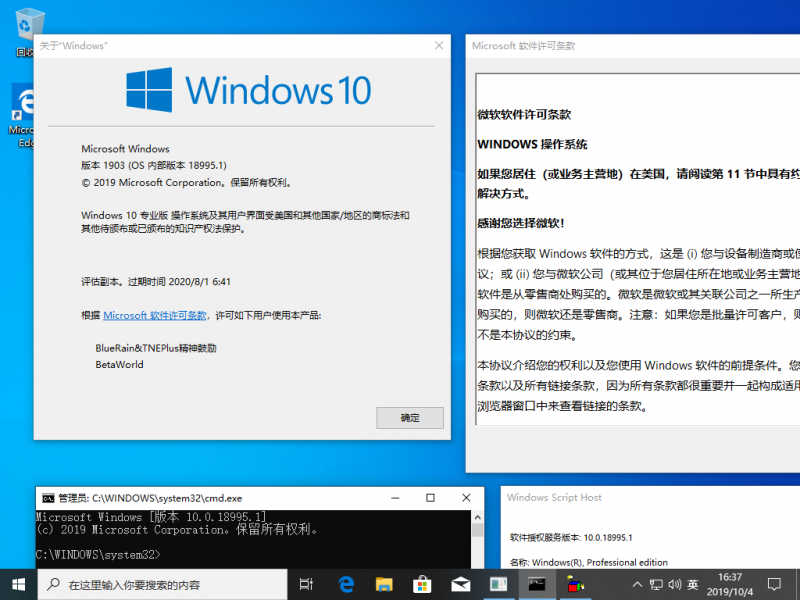 文件:Windows10-10.0.18995.1-Version.png