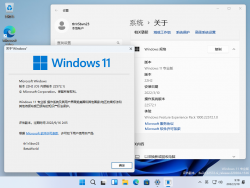 Windows 11-10.0.22572.1-Version.png