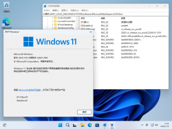 Windows 11-10.0.22621.290-Version.png