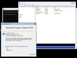 Hyper-V Server 2019-10.0.17744.1004-Version.png