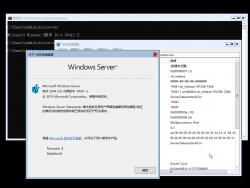 Windows Server 2019-10.0.19041.1-Version.png