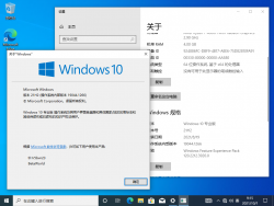 Windows 10-10.0.19044.1266-Version.png