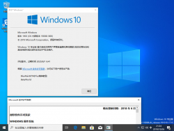 Windows10-10.0.19008.1000-Version.png