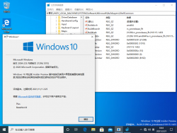 Windows 10-10.0.21296.1010-Version.png