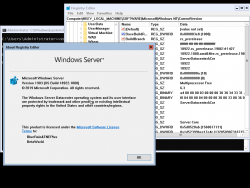 Windows Server 2019-10.0.18922.1000-Version.png