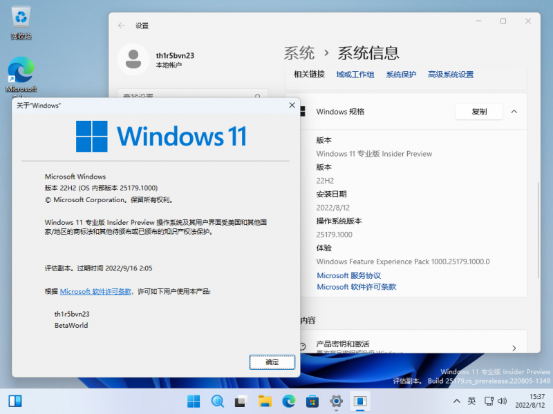 文件:Windows 11-10.0.25179.1000-Version.png
