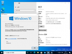 Windows 10-10.0.21318.1000-Version.png