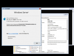 Windows Server 2022-10.0.19551.1001-Version.png