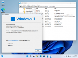 Windows 11-10.0.22621.575-Version.png