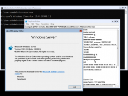 Windows Server 2019-10.0.18348.1-Version.png