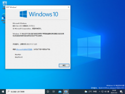 Windows10-10.0.21370.1-Version.png