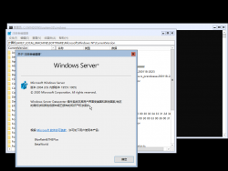 Windows Server 2022-10.0.19551.1005-Version.png
