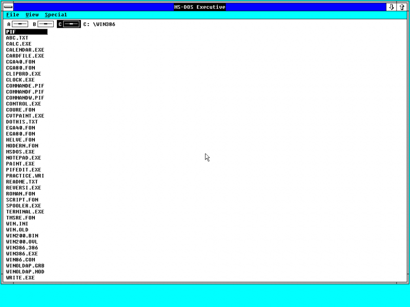 文件:Windows 2.03 386-English-3.5inch-TVGA8900D-Interface.png