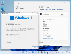 Windows 11-10.0.22504.1000-Version.png