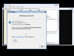 Windows Server 2022-10.0.19613.1000-Version.png