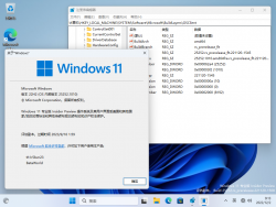 Windows 11-10.0.25252.1010-Version.png