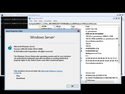 Windows Server-10.0.18234.1000-Version.png