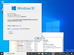Windows 10-10.0.20251.1-Version.png