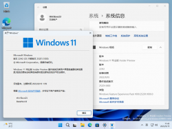 Windows 11-10.0.25201.1000-Version.png