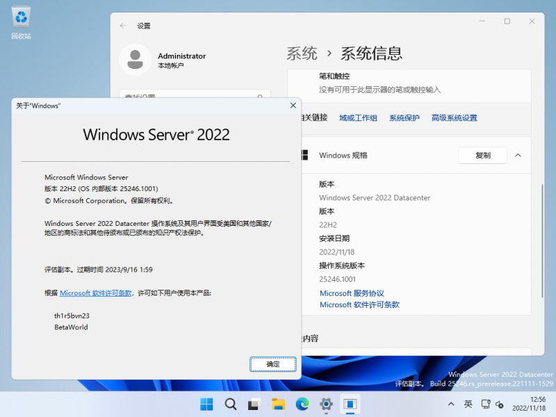 文件:Windows Server 2025-10.0.25246.1001-Version.png