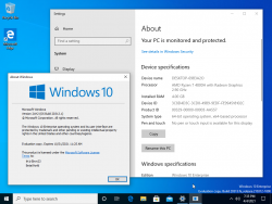 Windows10-10.0.20313.1-Version.png