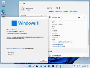 Windows 11-10.0.22000.120-Version.png