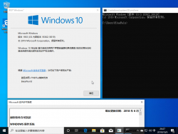 Windows 10 10.0.18362.10019.19h1 release svc 19h2 rel.190829-1707 Version.png