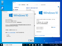 Windows10-10.0.18990.1-Version.png